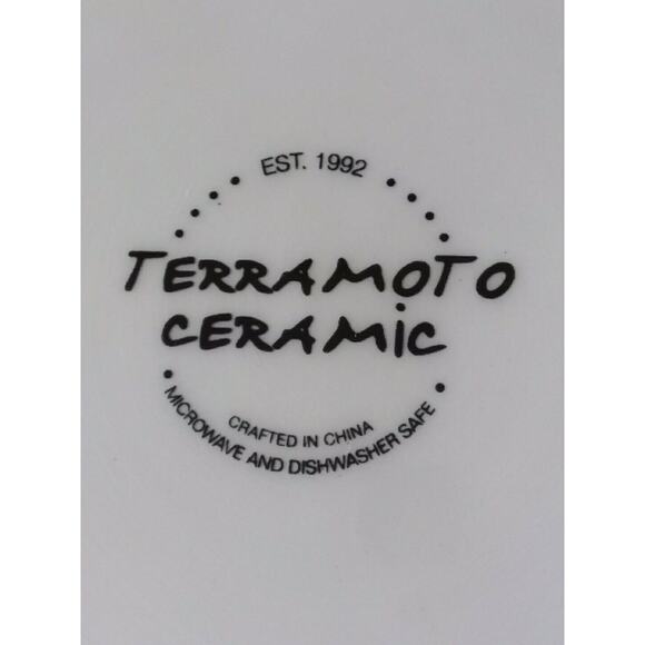 TERRAMOTO Strawberry Summer Ceramic 10.5" Plates Red and White Set of 4 NEW - Picture 8 of 8